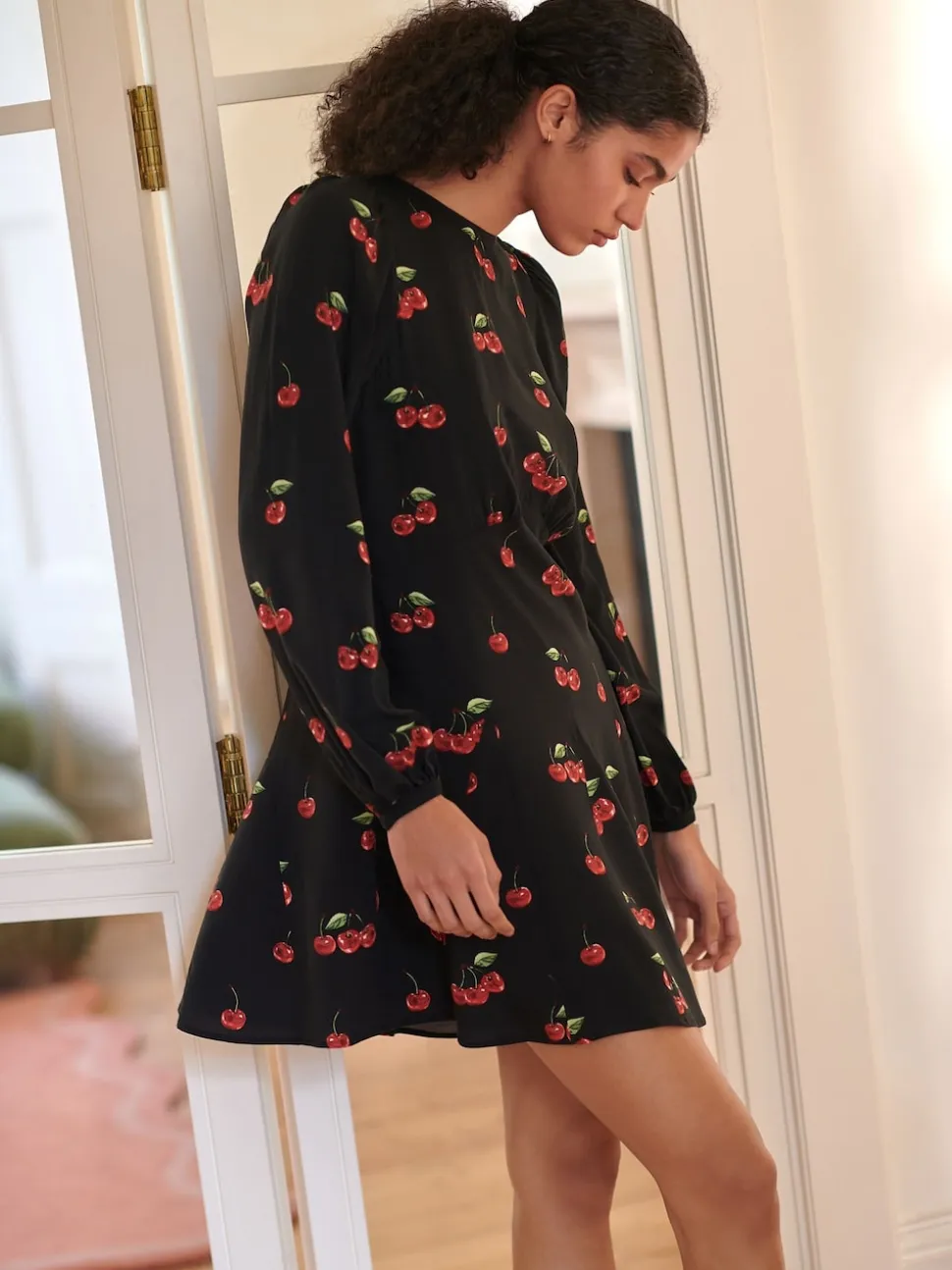 Black Cherry Print Mini Long Sleeve A-Line Seam Detail Dress