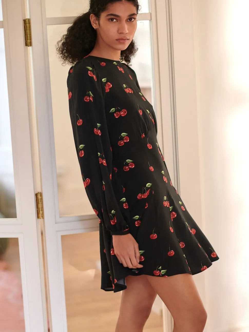 Black Cherry Print Mini Long Sleeve A-Line Seam Detail Dress