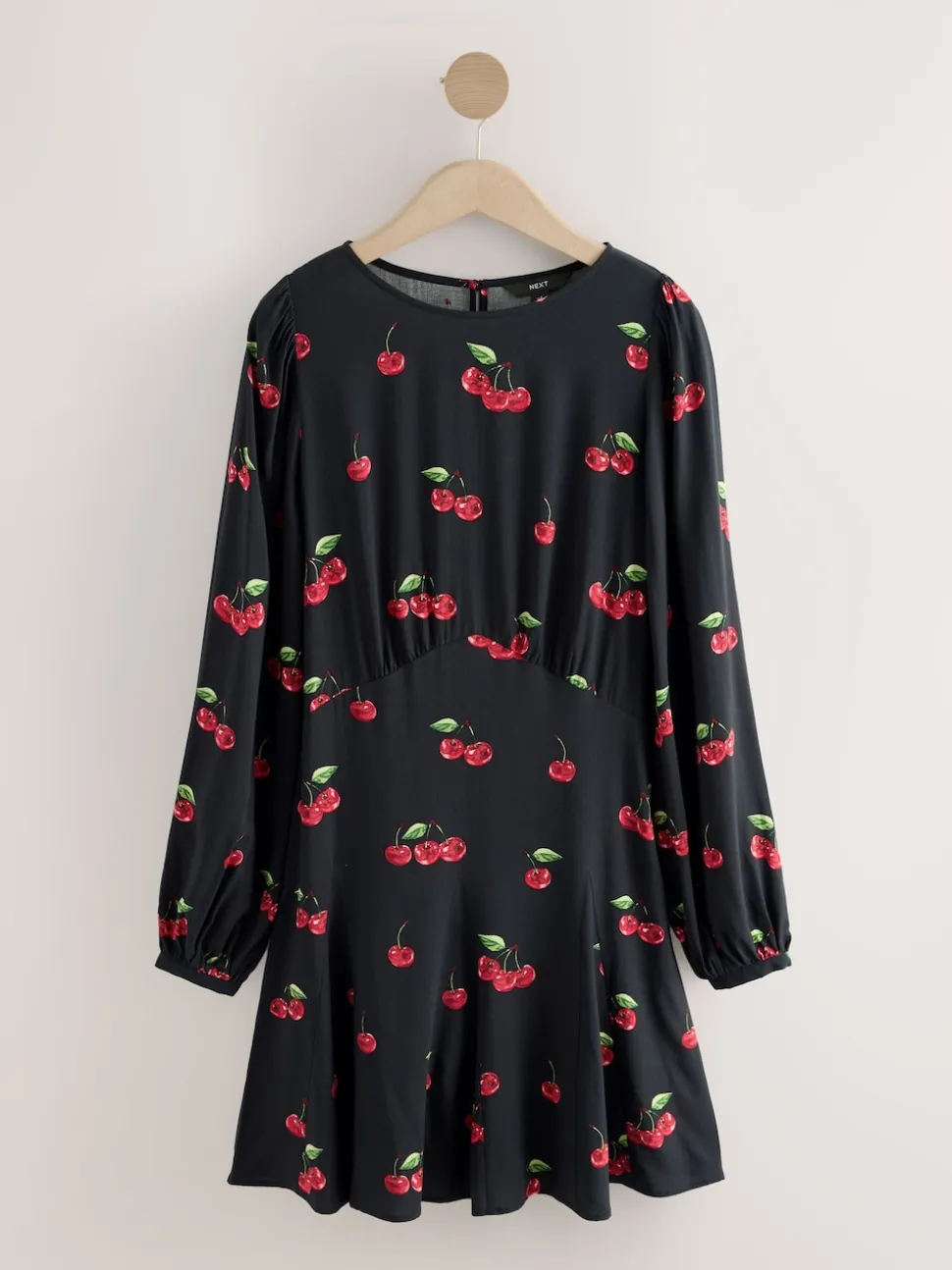 Black Cherry Print Mini Long Sleeve A-Line Seam Detail Dress