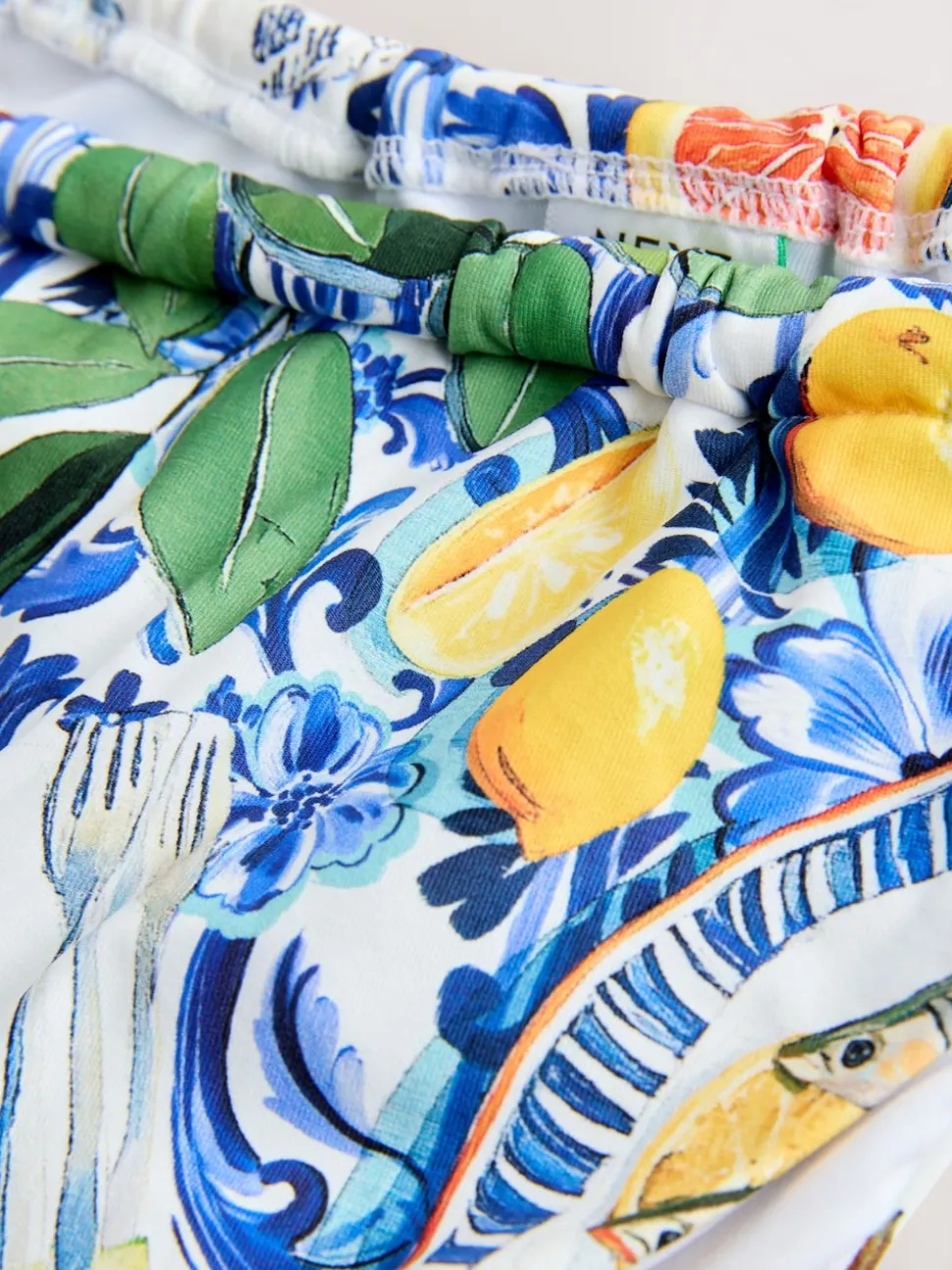 Blue/White Porcelain Sardine Print Tanga Bikini Bottoms