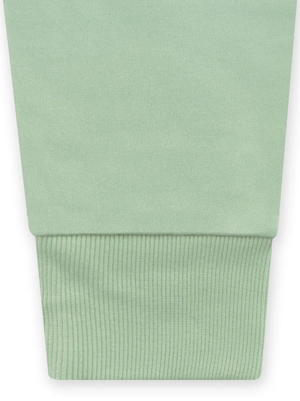 Bluey Green Character Ladies Chilli Sweatshirt