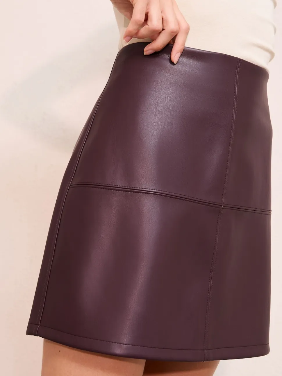 Friends Like These Burgundy Red Faux Leather Mini Skirt
