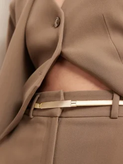 Gold Skinny Stretch Plaque Belt