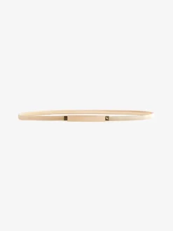 Gold Skinny Stretch Plaque Belt