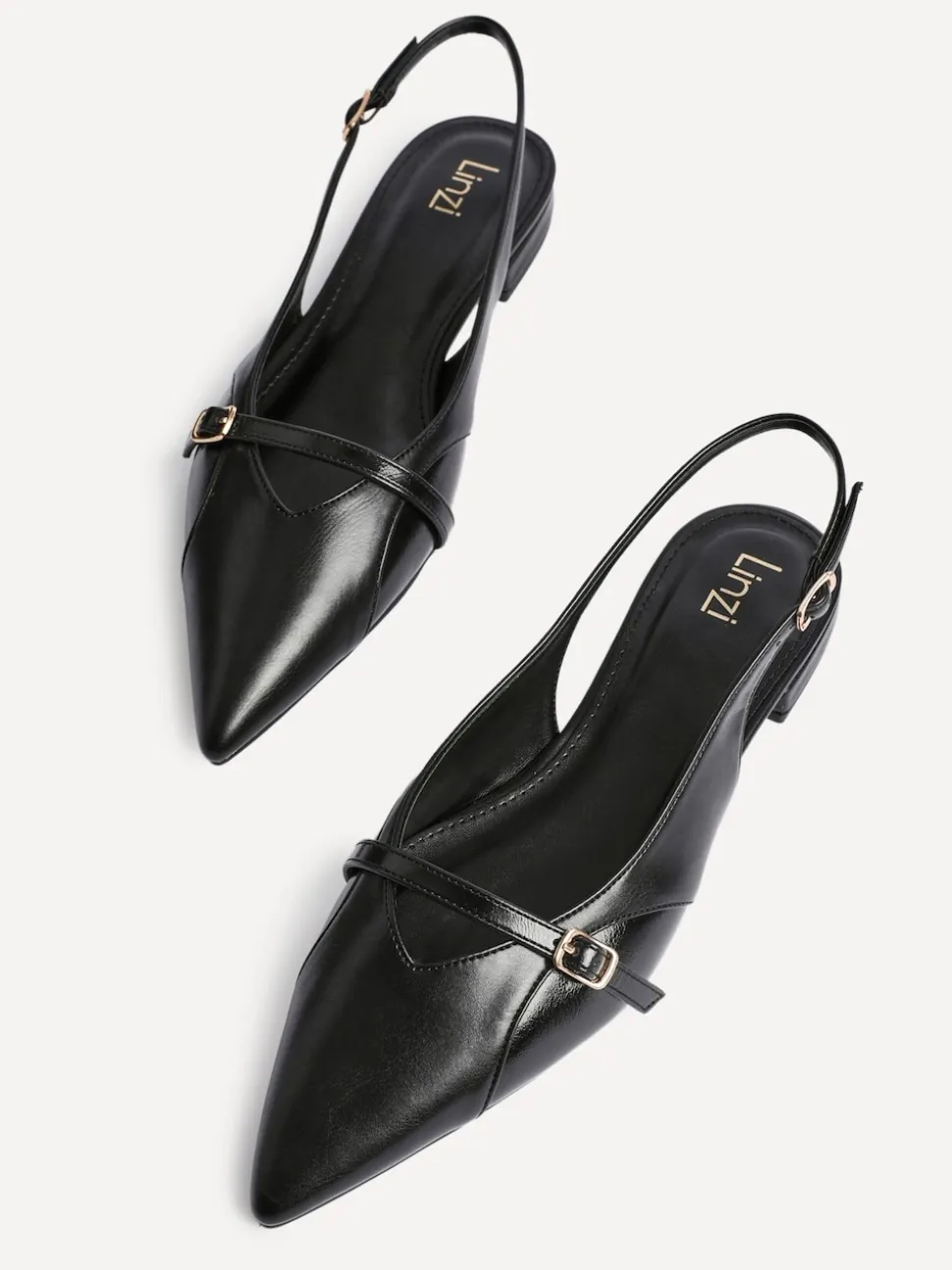 Linzi Black Prague Pointed Toe Ballet Flats With Buckle Detail