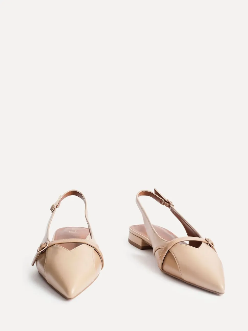 Linzi Natural Prague Pointed Toe Ballet Flats With Buckle Detail
