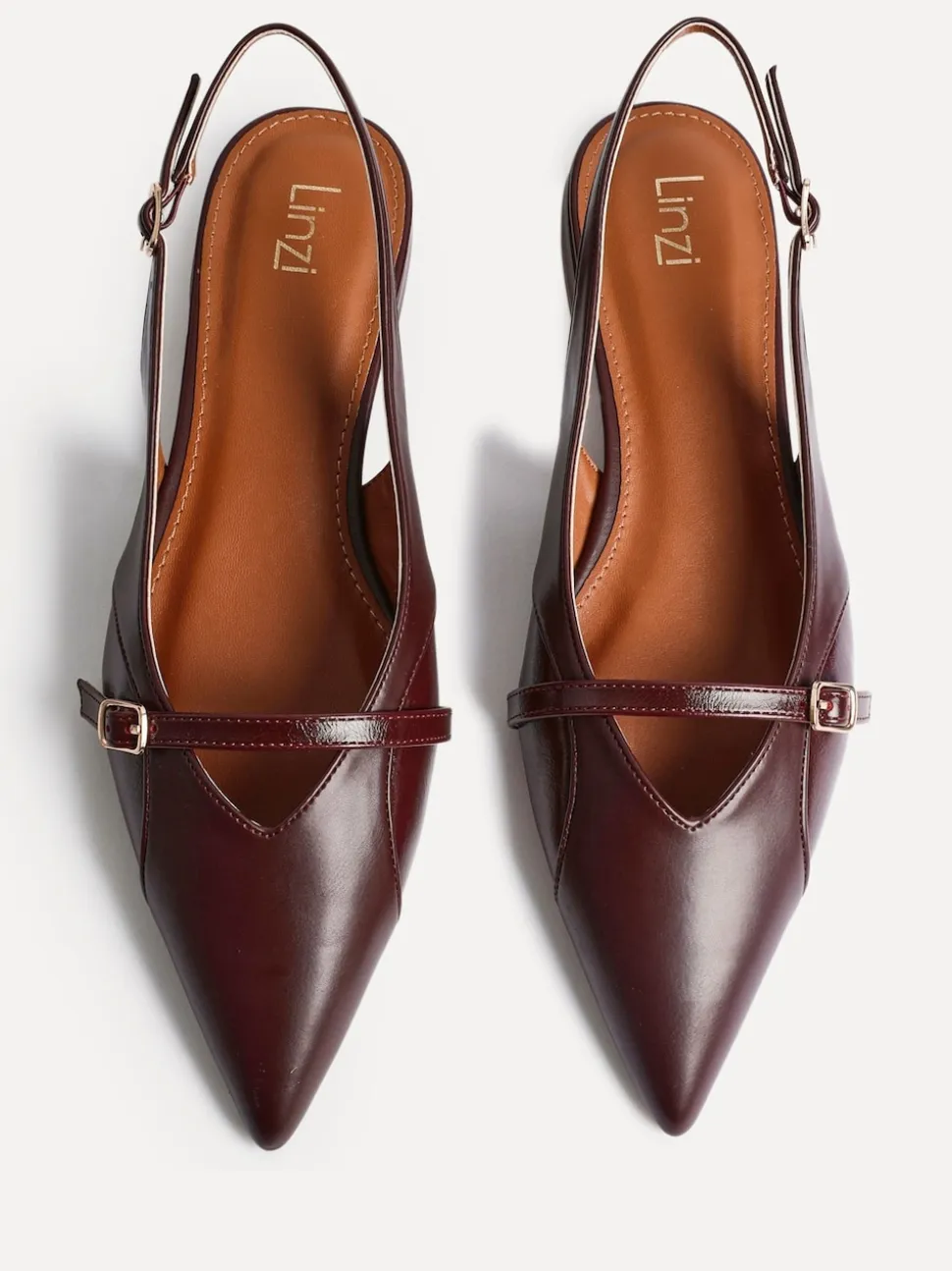 Linzi Red Prague Pointed Toe Ballet Flats With Buckle Detail