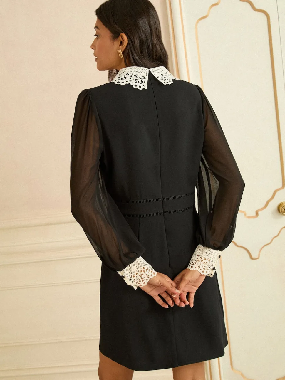 Love & Roses Black Lace Collar Mini Dress