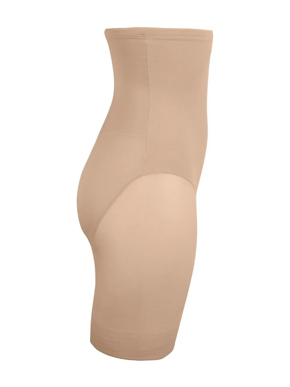 Miraclesuit High Waisted Thigh Slimming Sheer Shorts