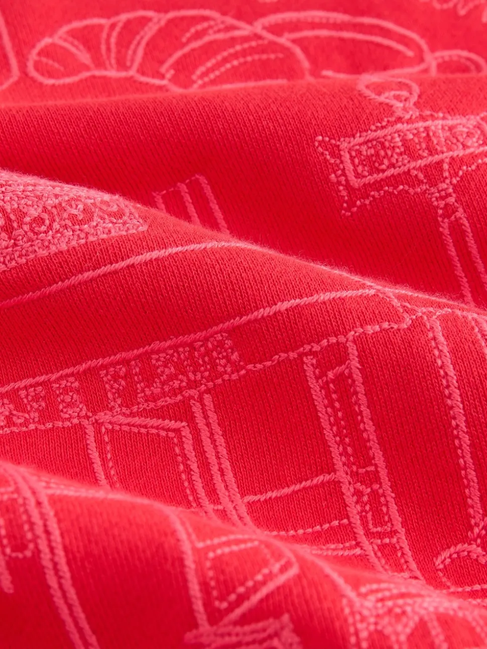 Red Embroidered Sweatshirt