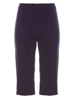 Roman Blue Knee Length Stretch Shorts