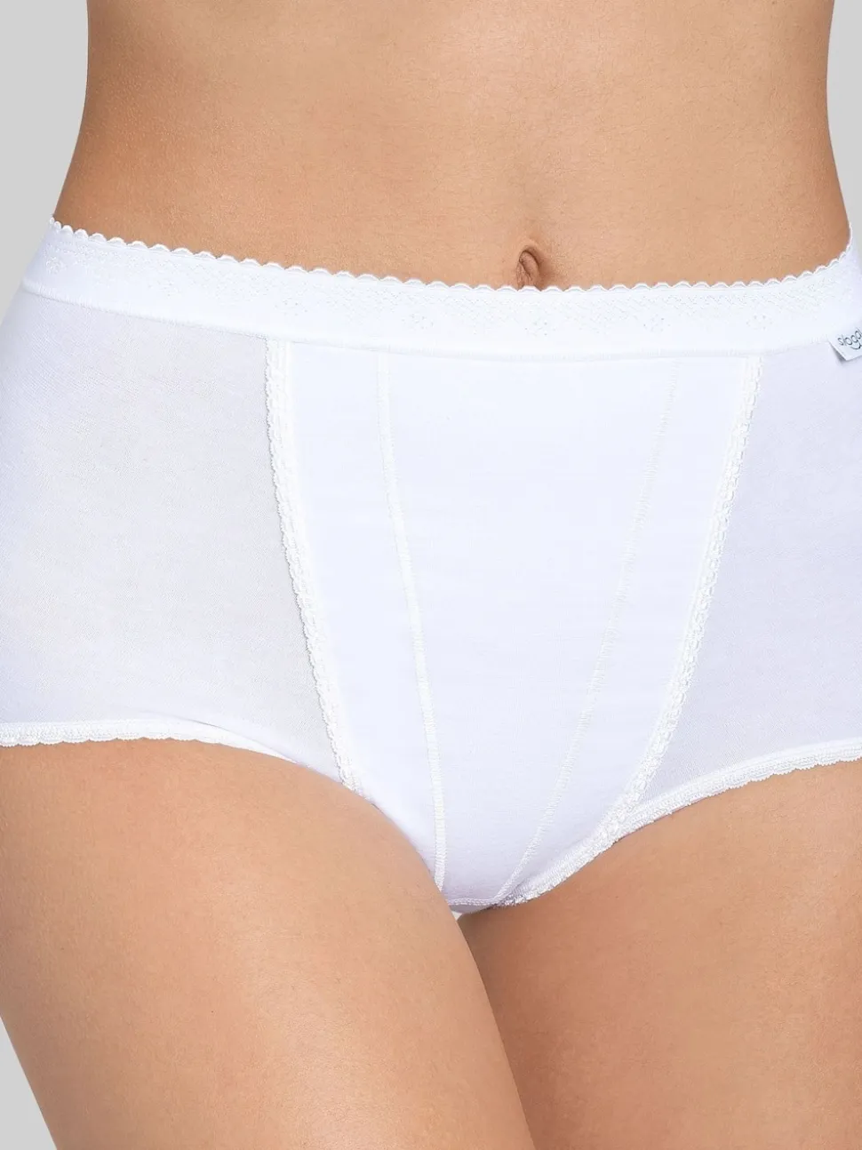 Sloggi Control Brief Knickers