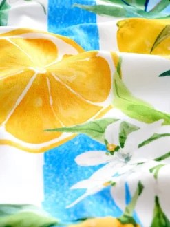 White/Blue Stripe Lemon Print Dd+ Wired Scoop Neck Tummy Control Swimsuit